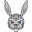 scared rabbit